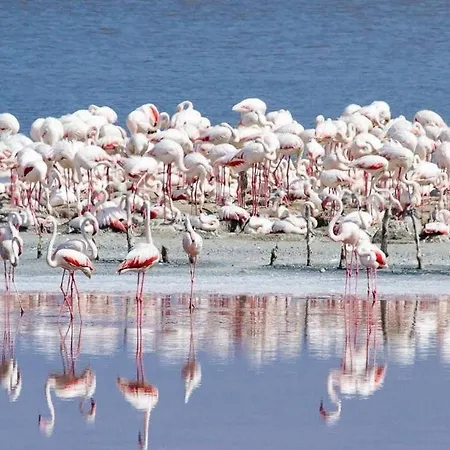 Casa Con Giardino Vakantiehuis